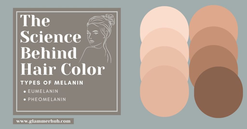 The Science Behind Hair Color