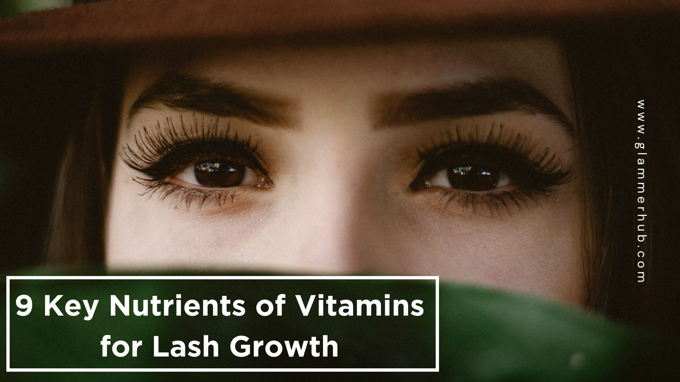 9 Key Nutrients of Vitamins for Lash Growth